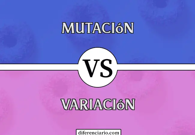 Diferencia entre mutación y variación