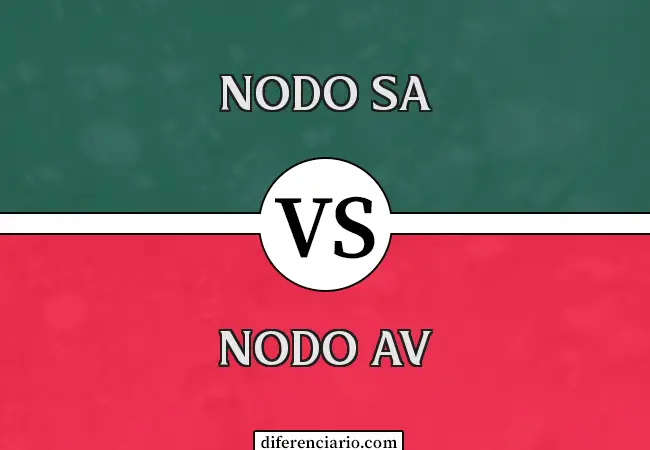 Diferencia entre nodo SA y nodo AV
