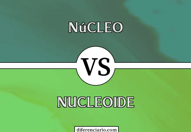 Diferencia entre núcleo y nucleoide