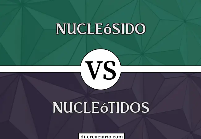 Diferencia entre Nucleósido y Nucleótido