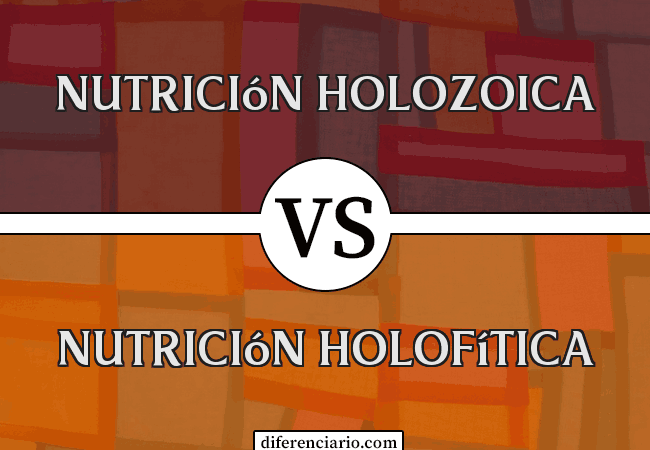 Diferencia entre Nutrición Holozoica y Nutrición Holofítica