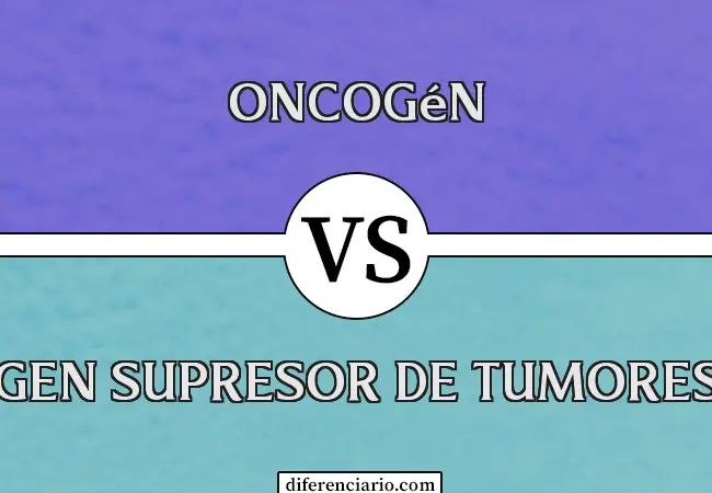 Diferencia entre Oncogén y Gen Supresor de Tumores