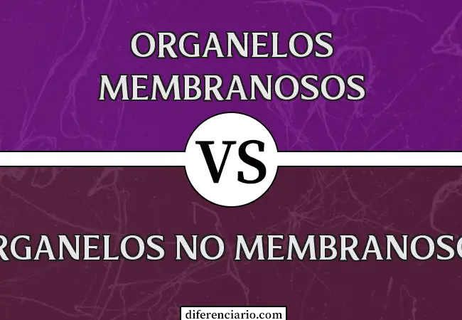 Diferencia entre orgánulos membranosos y orgánulos no membranosos