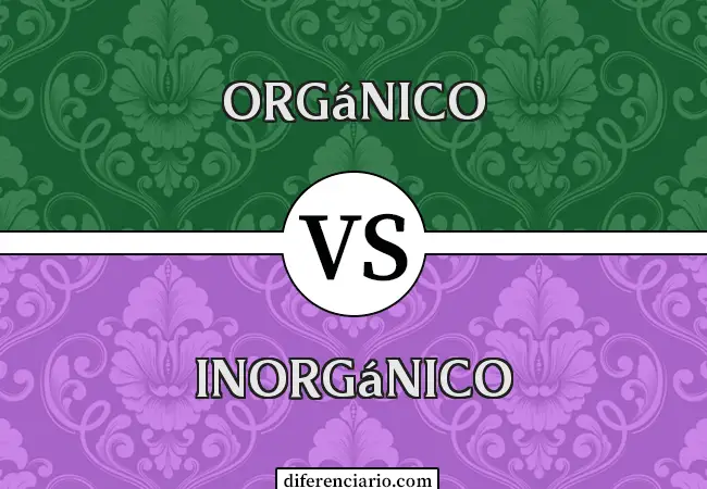 Diferencia entre orgánico e inorgánico