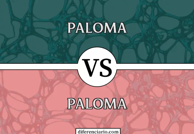 Diferencia entre Paloma y Palomo