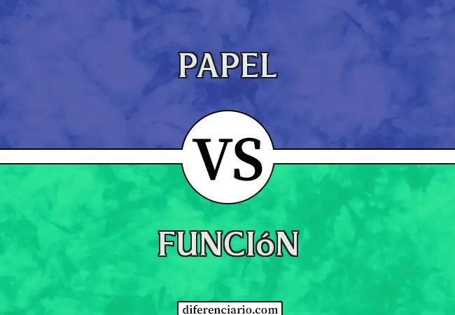 Diferencia entre papel y función