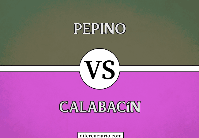 Diferencia entre pepino y calabacín