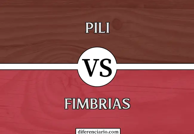 Diferencia entre Pili y Fimbria