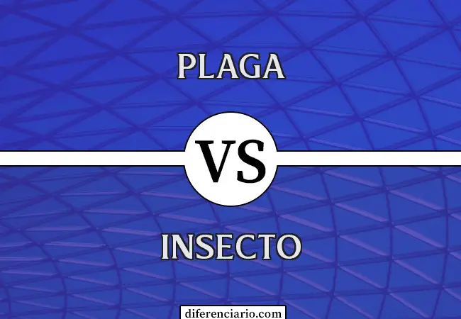 Diferencia entre plaga e insecto
