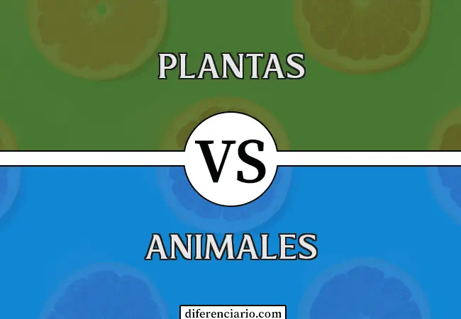 Diferencia entre plantas y animales