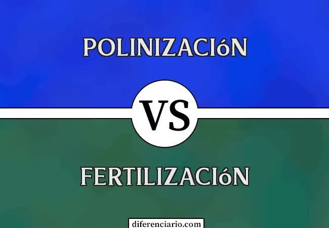 Diferencia entre polinización y fecundación