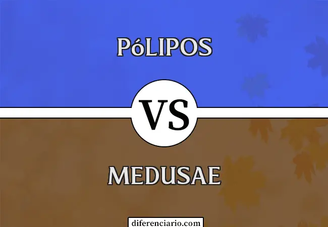 Diferencia entre pólipos y medusas