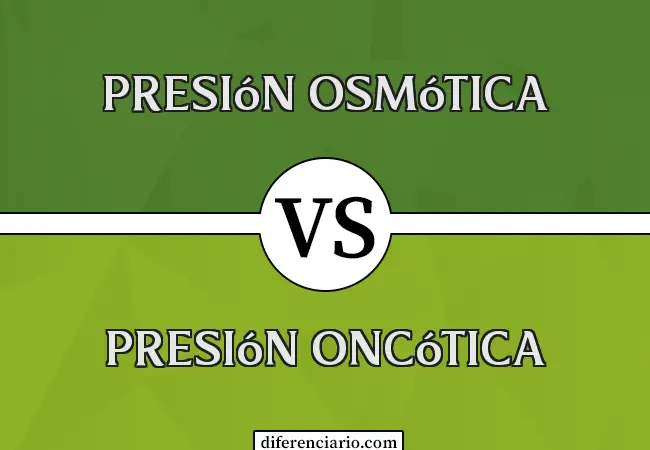 Diferencia entre presión osmótica y presión oncótica