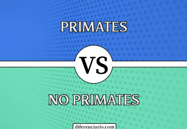 Diferencia entre primates y no primates