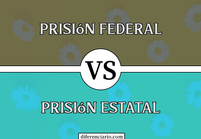 Diferencia entre prisión federal y prisión estatal
