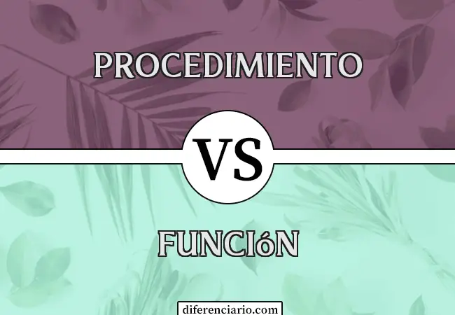 Diferencia entre procedimiento y función