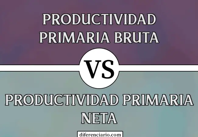 Diferencia entre Productividad Primaria Bruta y Productividad Primaria Neta