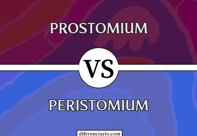 Diferencia entre Prostomium y Peristomium
