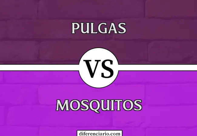 Diferencia entre pulgas y mosquitos