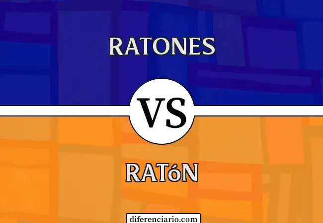 Diferencia entre Ratón y Ratona