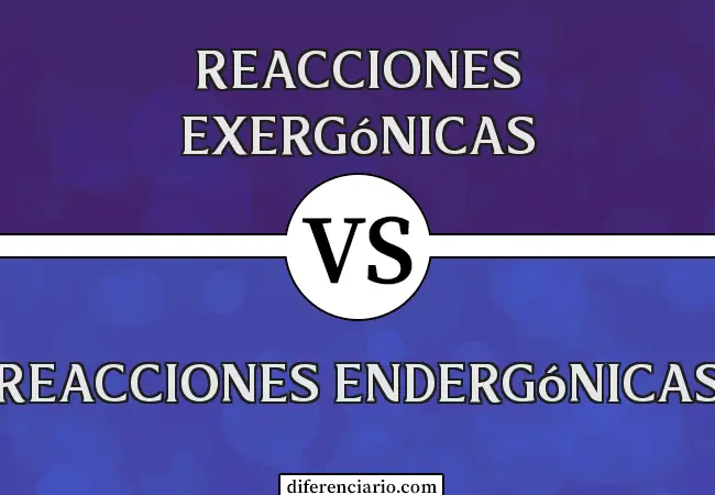 Diferencia entre Reacciones Exergónicas y Reacciones Endergónicas