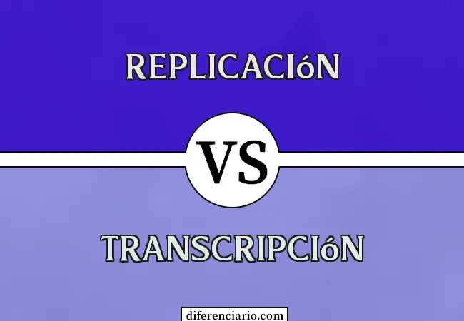 Diferencia entre replicación y transcripción