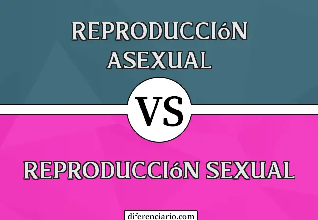 Diferencia entre reproducción asexual y reproducción sexual
