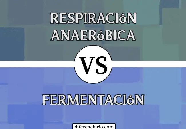 Diferencia entre la respiración anaeróbica y la fermentación