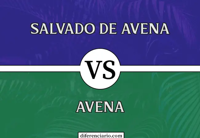 Diferencia entre Salvado de Avena y Harina de Avena