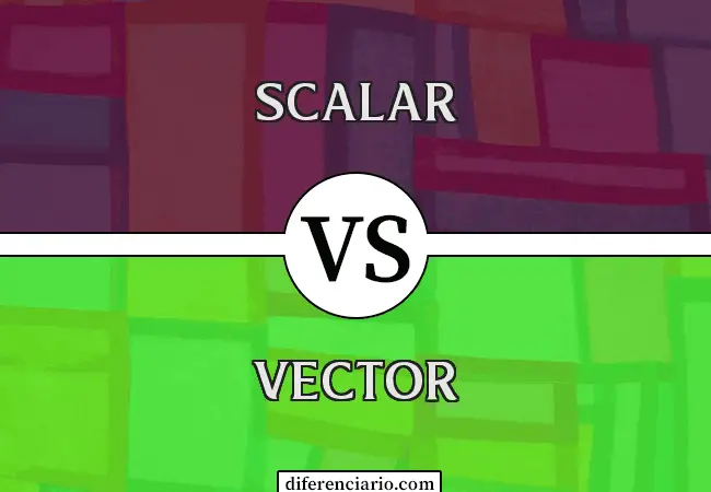 Diferencia entre escalar y vector
