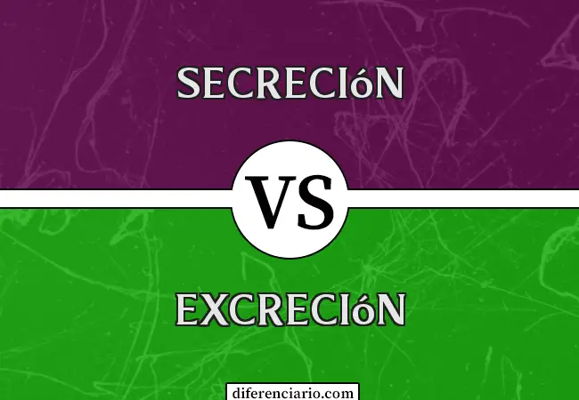 Diferencia entre secreción y excreción