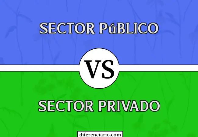Diferencia entre sector público y sector privado