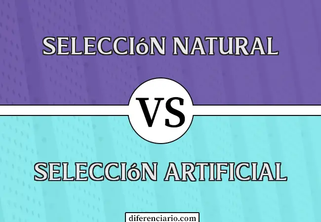 Diferencia entre Selección Natural y Selección Artificial