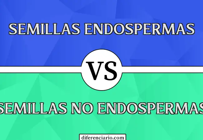 Diferencia entre semillas endospermas y semillas no endospermas