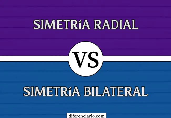 Diferencia entre simetría radial y simetría bilateral