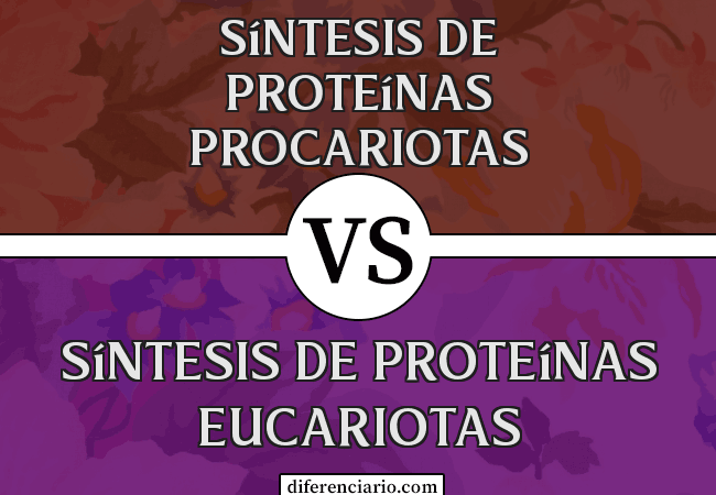 Diferencia entre la síntesis de proteínas procariotas y la síntesis de proteínas eucariotas