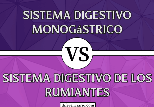 Diferencia entre sistema digestivo de monogástricos y sistema digestivo de rumiantes