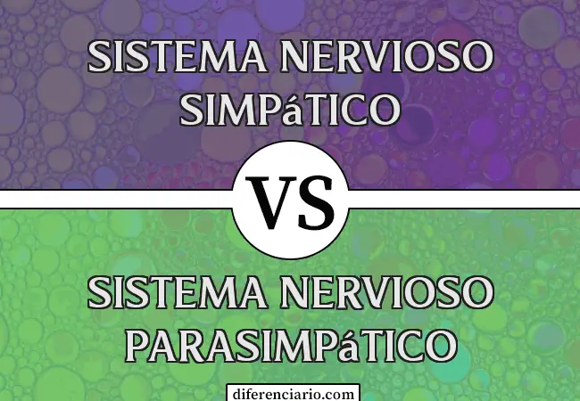 Diferencia entre Sistema Nervioso Simpático y Sistema Nervioso Parasimpático