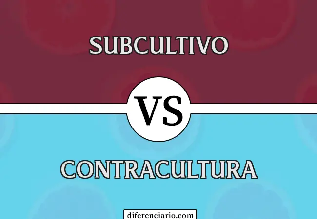 Diferencia entre subcultura y contracultura