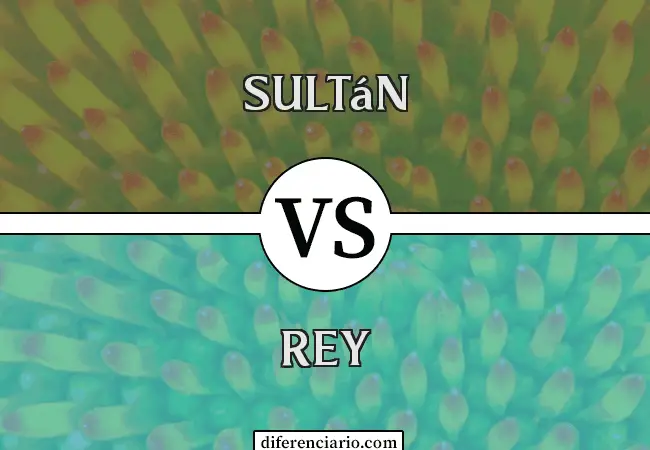 Diferencia entre Sultán y Rey
