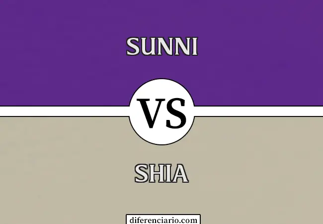 Diferencia entre Sunni y Shia