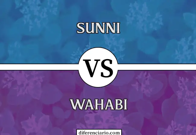 Diferencia entre Sunni y Wahabi