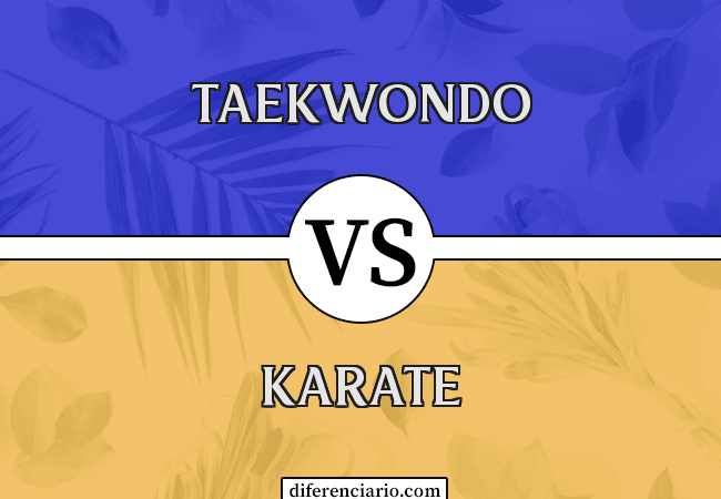 Diferencia entre taekwondo y karate