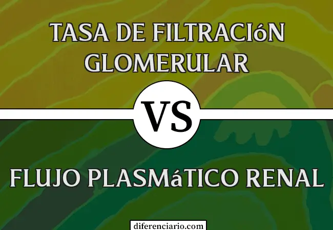 Diferencia entre tasa de filtración glomerular y flujo plasmático renal