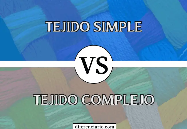 Diferencia entre tejido simple y tejido complejo
