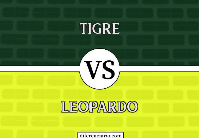 Diferencia entre Tiger y Leopard