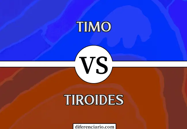 Diferencia entre Timo y Tiroides