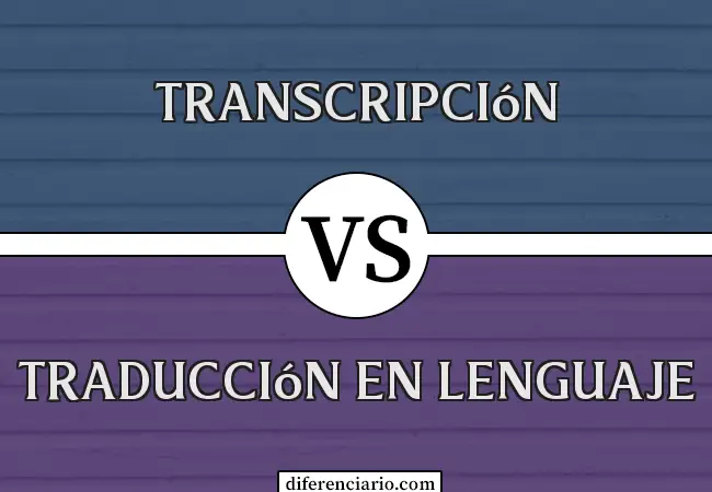 Diferencia entre transcripción y traducción en el lenguaje