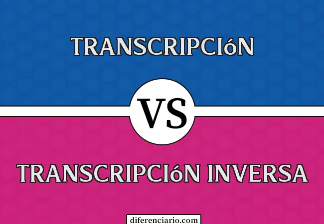 Diferencia entre transcripción y transcripción inversa