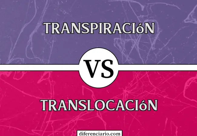 Diferencia entre Transpiración y Translocación